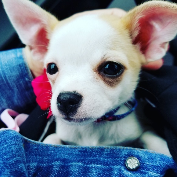 Lots of goodies! 😊